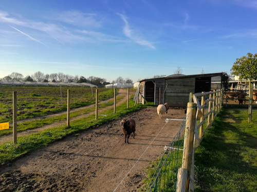 Ferme de la Chasseloire